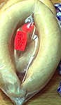 Real Swiss Kalberwurst - Precooked Ring