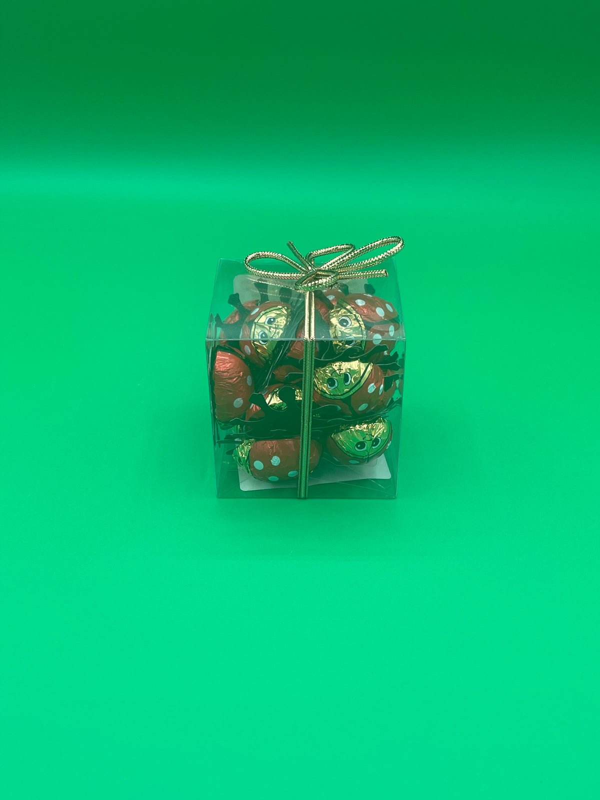 Riegelein Milk Chocolate Ladybugs (Cube - 100g)