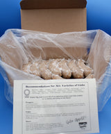Bavarian Bratwurst 6lb box