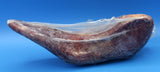 Smoked Beef Tongue